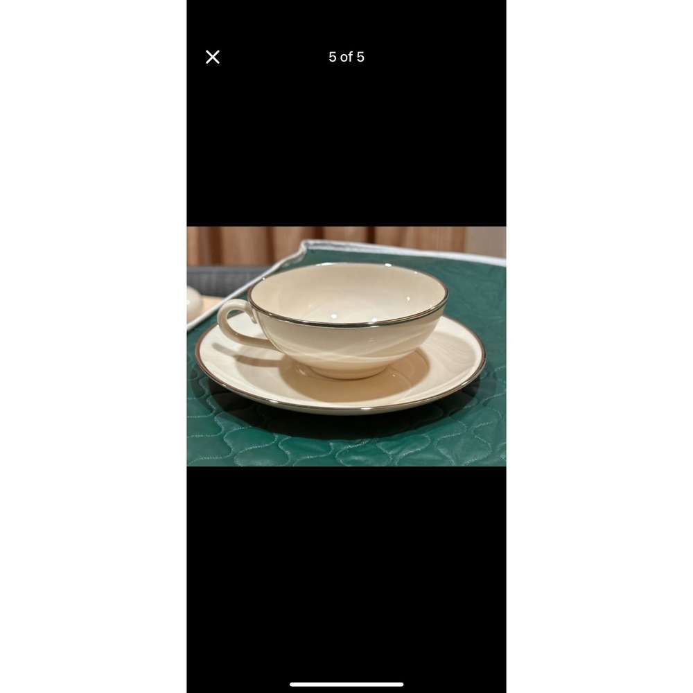 Vintage Franciscan Platinum Band Cup Saucer Serving Set 20pcs MCM Tea Time - Picture 5 of 5